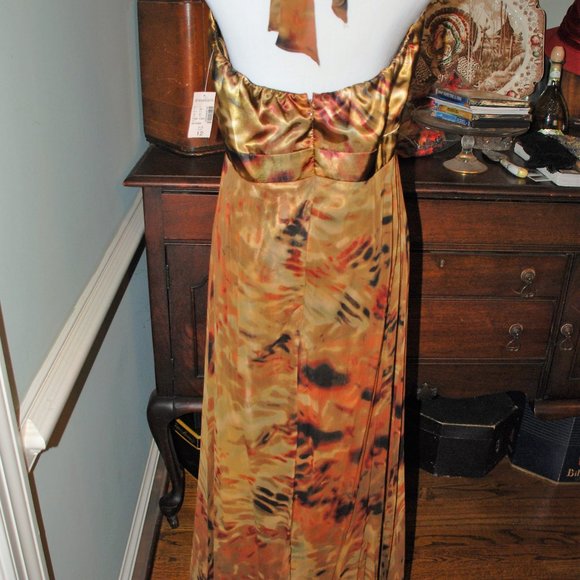 NWT Dress Barn Fabulous Silk Sundress - Picture 3 of 6